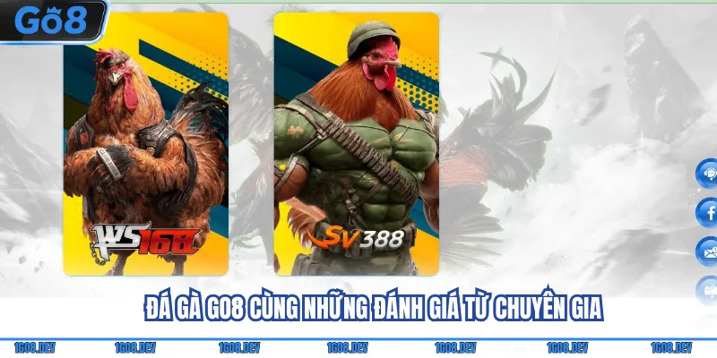 Đá Gà Go8 - Thỏa Mãn Đam Mê Cùng Loạt Sự Kiện Nổi Tiếng 2 Đá gà Go8 cùng những đánh giá từ chuyên gia