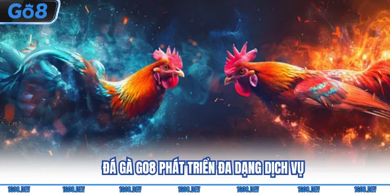 Đá Gà Go8 - Thỏa Mãn Đam Mê Cùng Loạt Sự Kiện Nổi Tiếng 1 Đá gà Go8 phát triển đa dạng dịch vụ