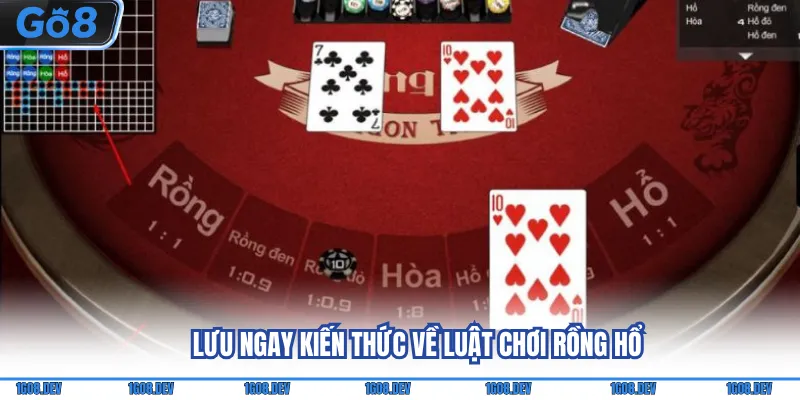 Rồng Hổ Là Gì? Kiến Thức Trọng Tâm Người Mới Đừng Bỏ Qua 3 Lưu ngay kiến thức về luật chơi Rồng Hổ