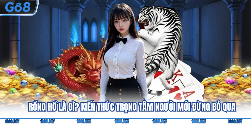 Rồng Hổ Là Gì? Kiến Thức Trọng Tâm Người Mới Đừng Bỏ Qua 6 rồng hổ là gì