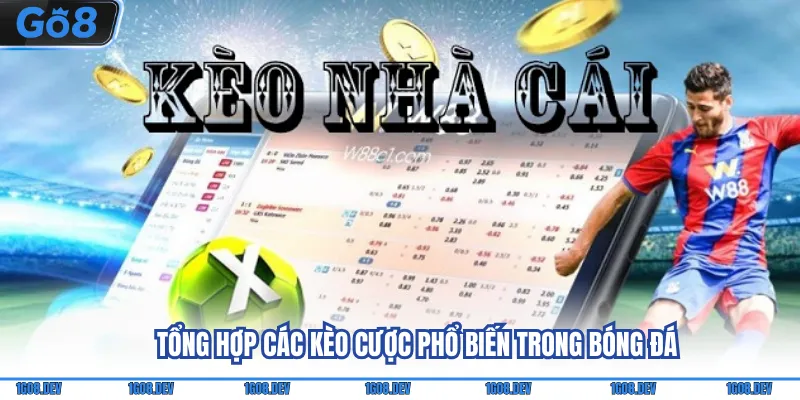 Kèo Nhà Cái Go8 - Tổng Hợp Các Tỷ Lệ Cược Trong Bóng Đá 3 Tổng hợp các kèo cược phổ biến trong bóng đá